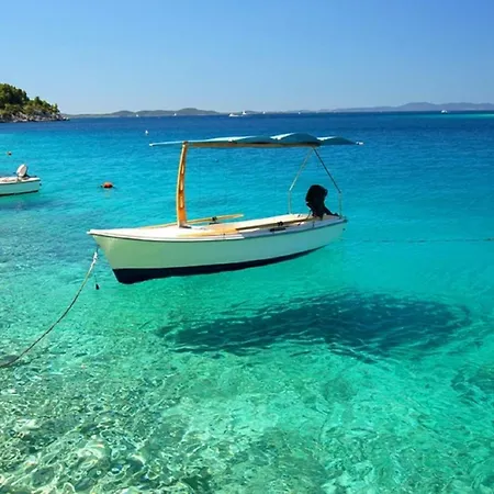Holiday Aspalathos
