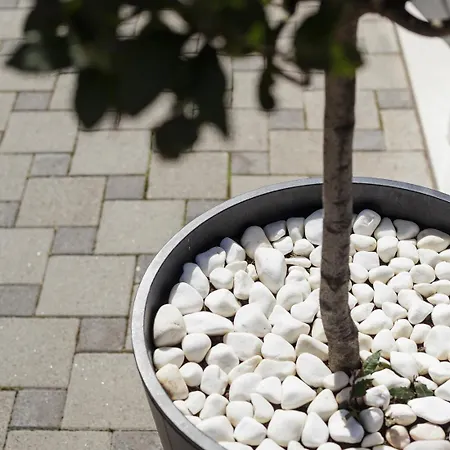 Holiday home Aspalathos - With Free Parking, Near The Beach, A Few Minutes' Walking Distance To The Unesco Palace