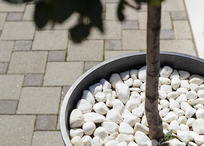 Dom wakacyjny Aspalathos - With Free Parking, Near The Beach, A Few Minutes' Walking Distance To The Unesco Palace