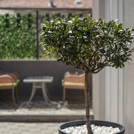 Aspalathos - With Free Parking, Near The Beach, A Few Minutes' Walking Distance To The Unesco Palace