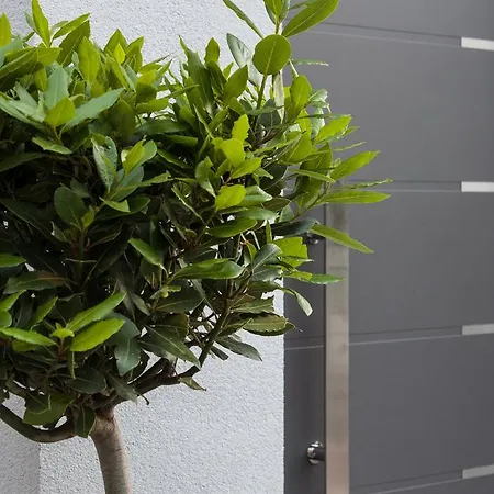 Aspalathos - With Free Parking, Near The Beach, A Few Minutes' Walking Distance To The Unesco Palace Vikendica